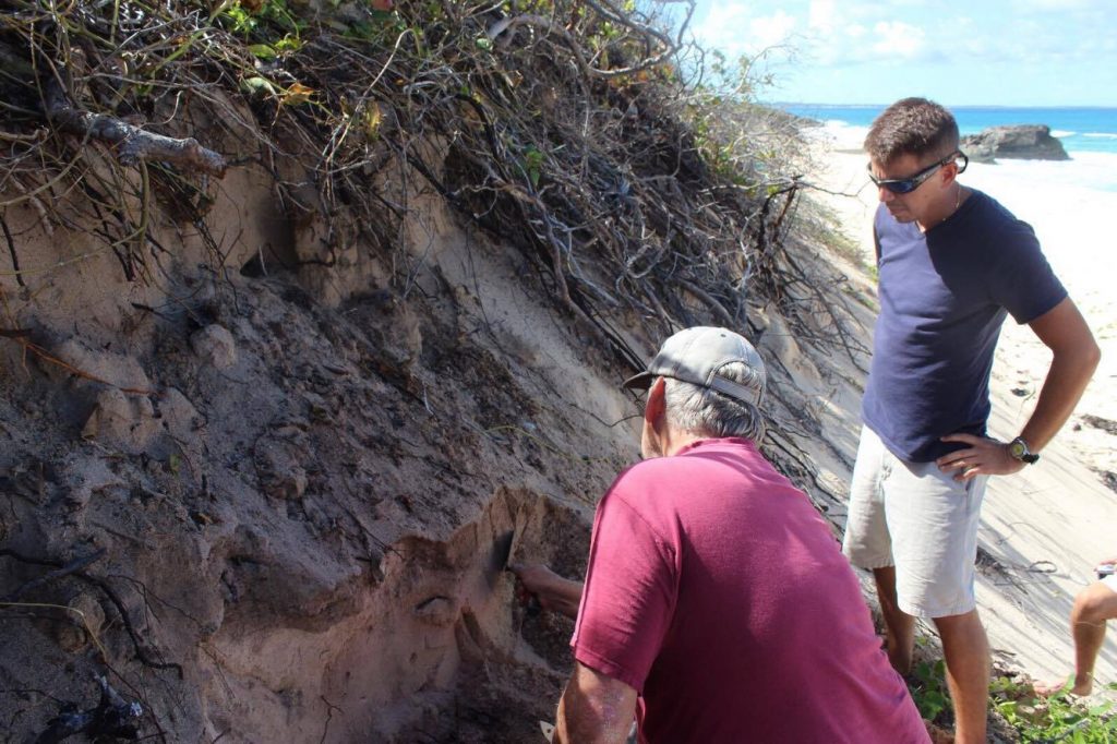 Dr. William Keegan (left) and Anthony Maillis (right) excavate burial site to preserve remains of ancient Lucayan bones found in the sand dunes near beaches in Clarence Town, Long Island.